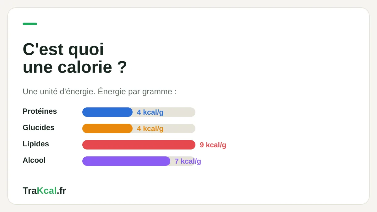 C'est quoi une calorie : unité d'énergie, kcal par gramme de protéines, glucides et lipides