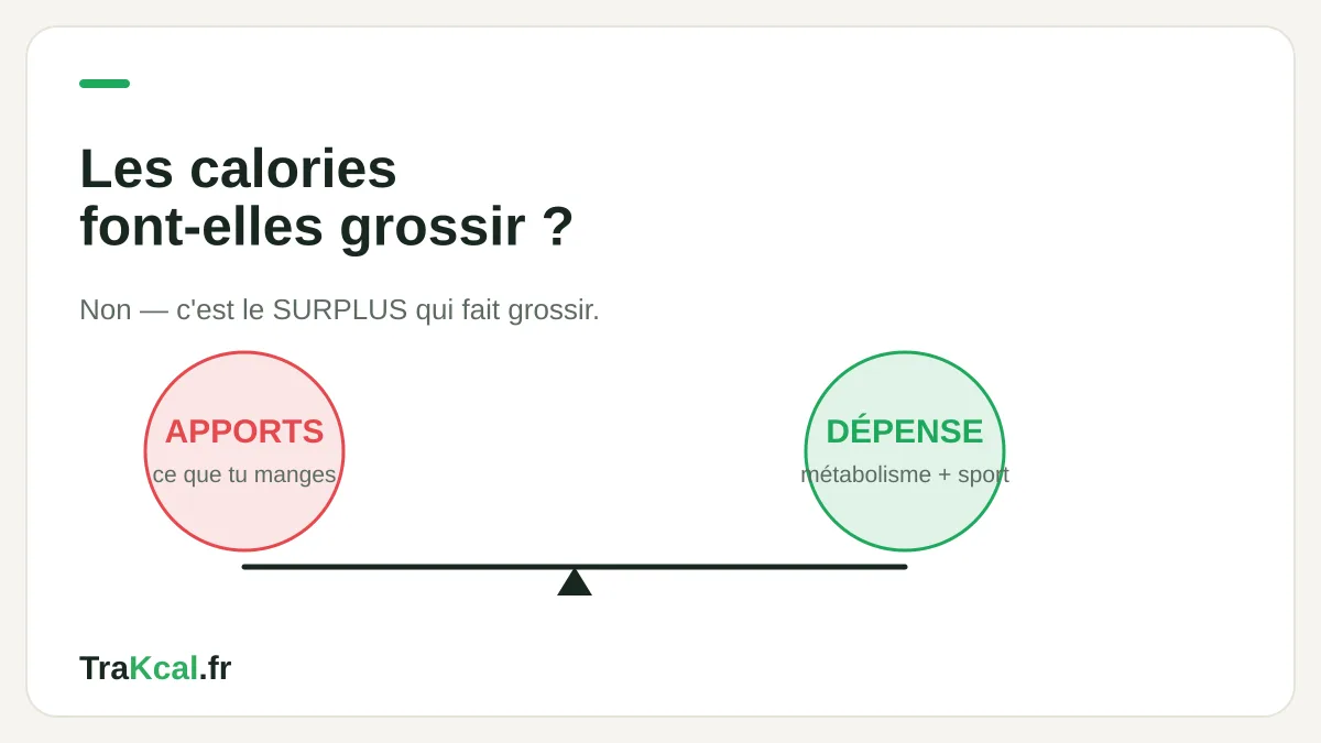 Est-ce que les calories font grossir : la balance énergétique entre apports et dépense